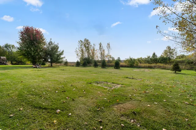 a view of a green field with trees in the background