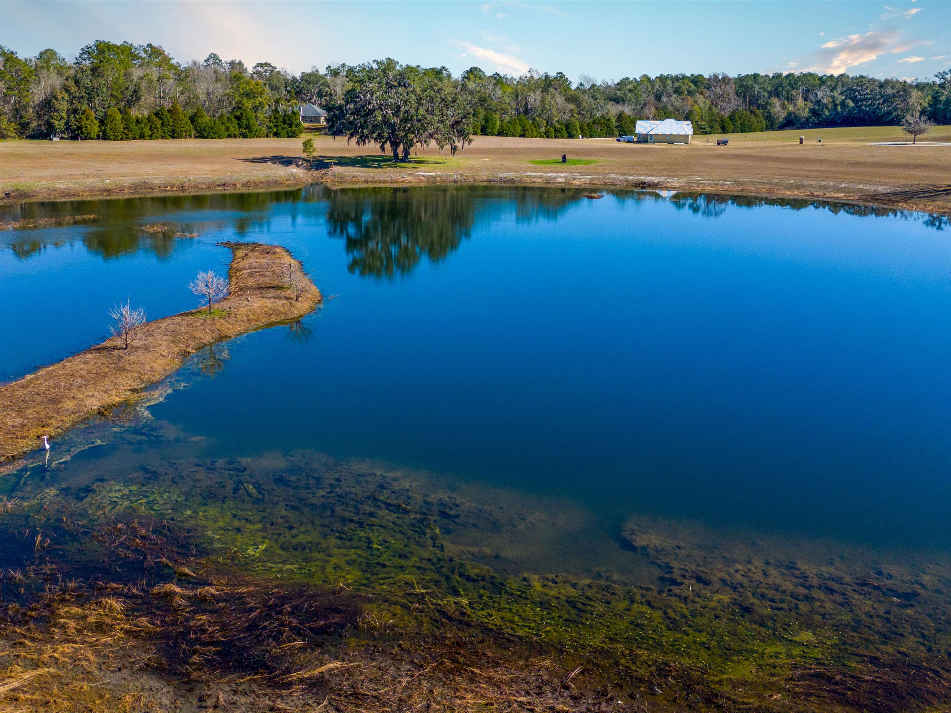 Appaloosa Way Madison, FL 32340 - Photo 3 of 10