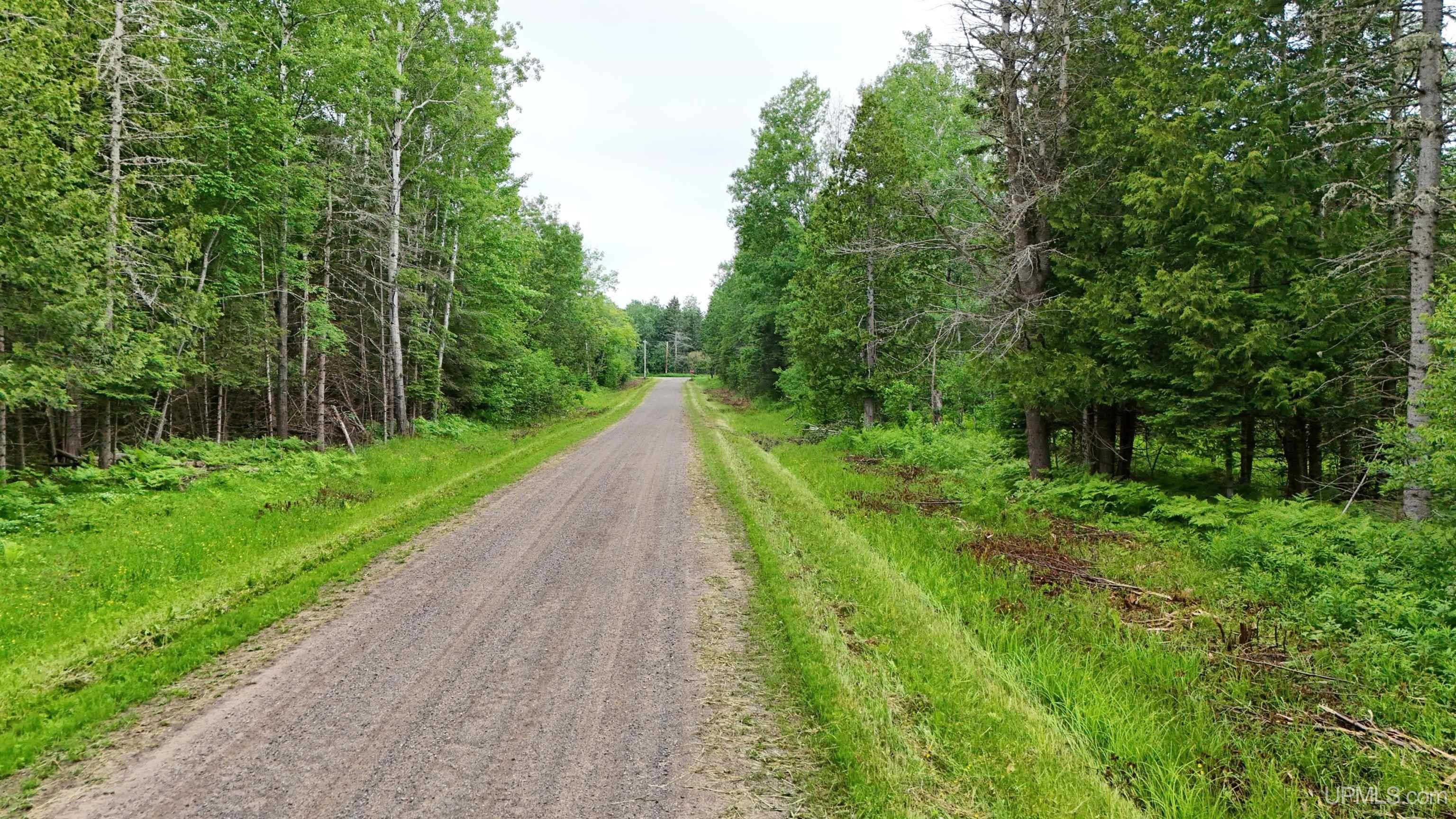 5.23 Messner Road Baraga, MI 49908 - Photo 7 of 18
