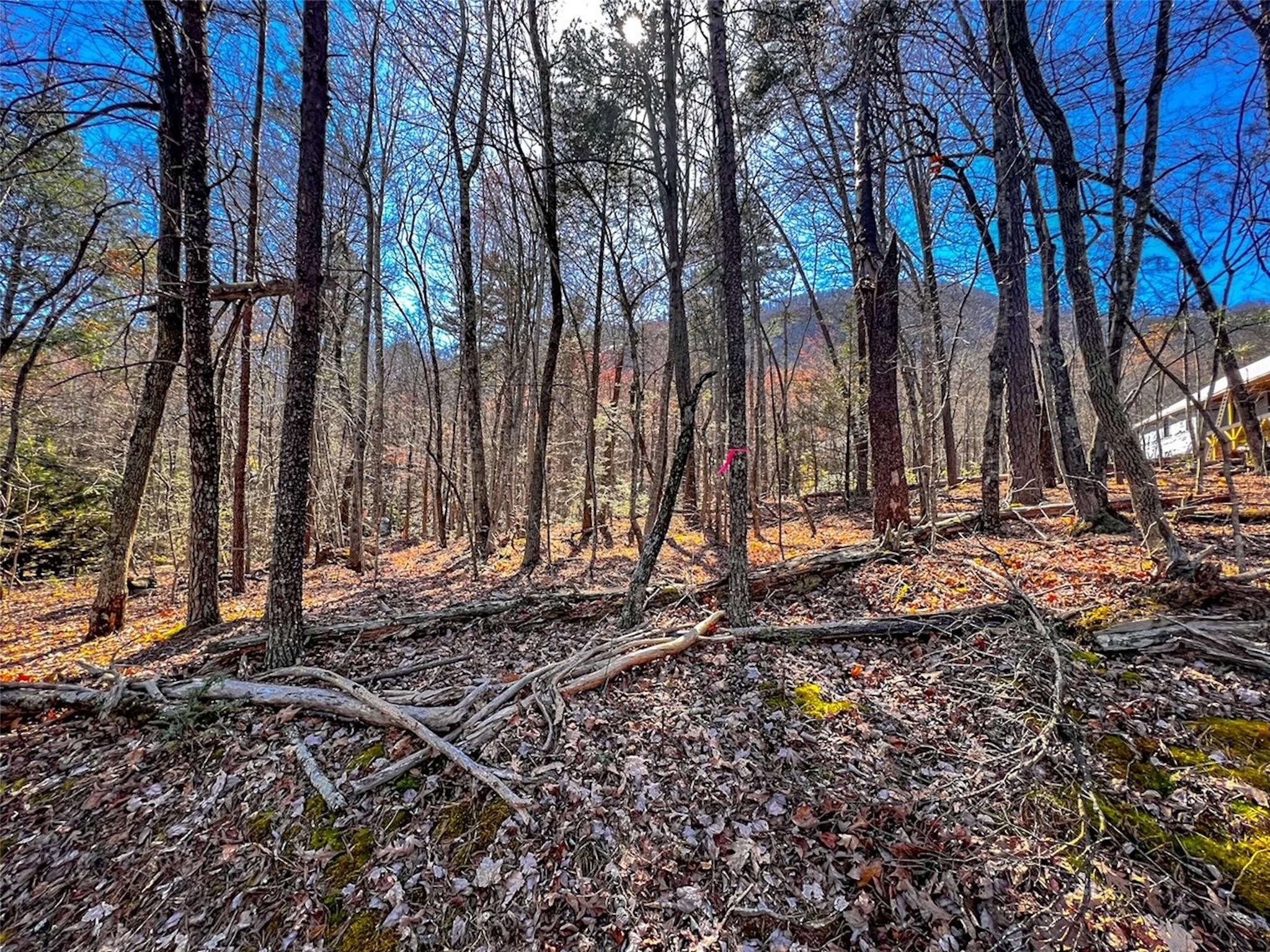 Lot 239 Quail Ridge Rd Lake Lake Lure, NC 28746 - Photo 2 of 30 a view of a backyard with large trees