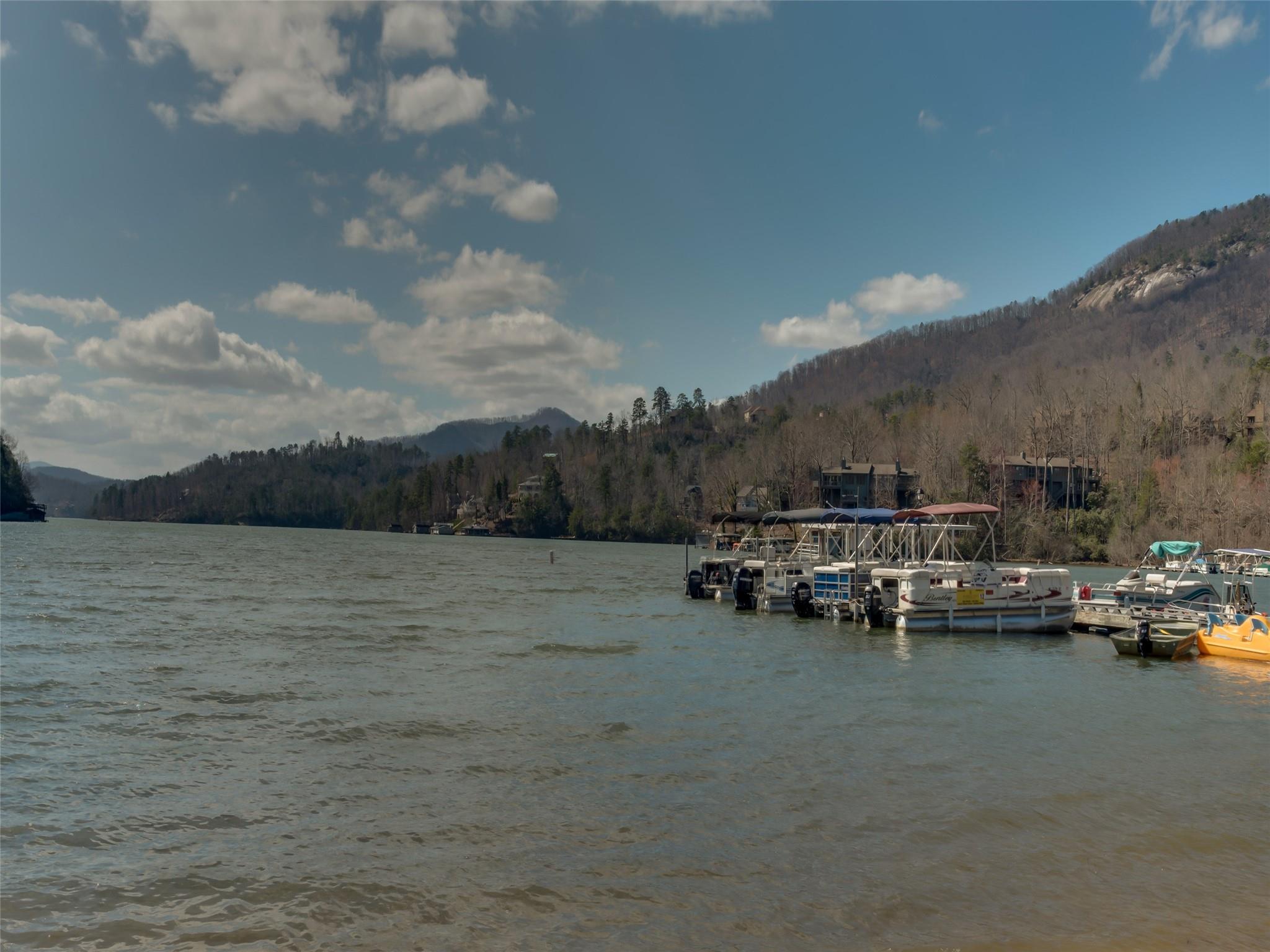 Lot 239 Quail Ridge Rd Lake Lake Lure, NC 28746 - Photo 26 of 30 a view of water with boats and trees