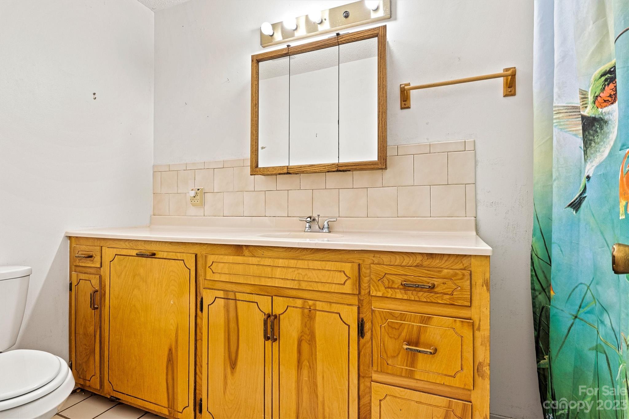 5327 Lee Cline Road Conover, NC 28613 - Photo 24 of 36 a bathroom with a sink and a mirror