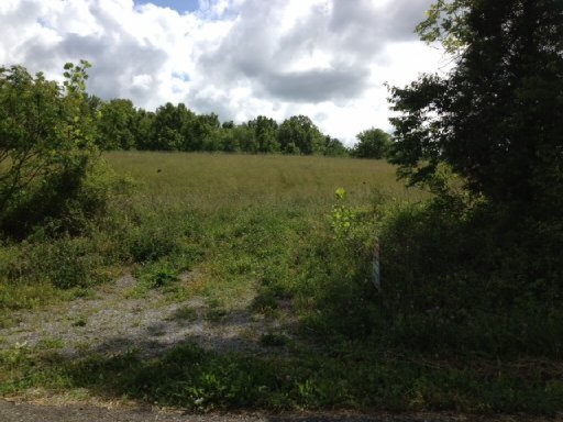 Zacharytown Road Corryton, TN 37721 - Photo 2 of 10 Primary Photo