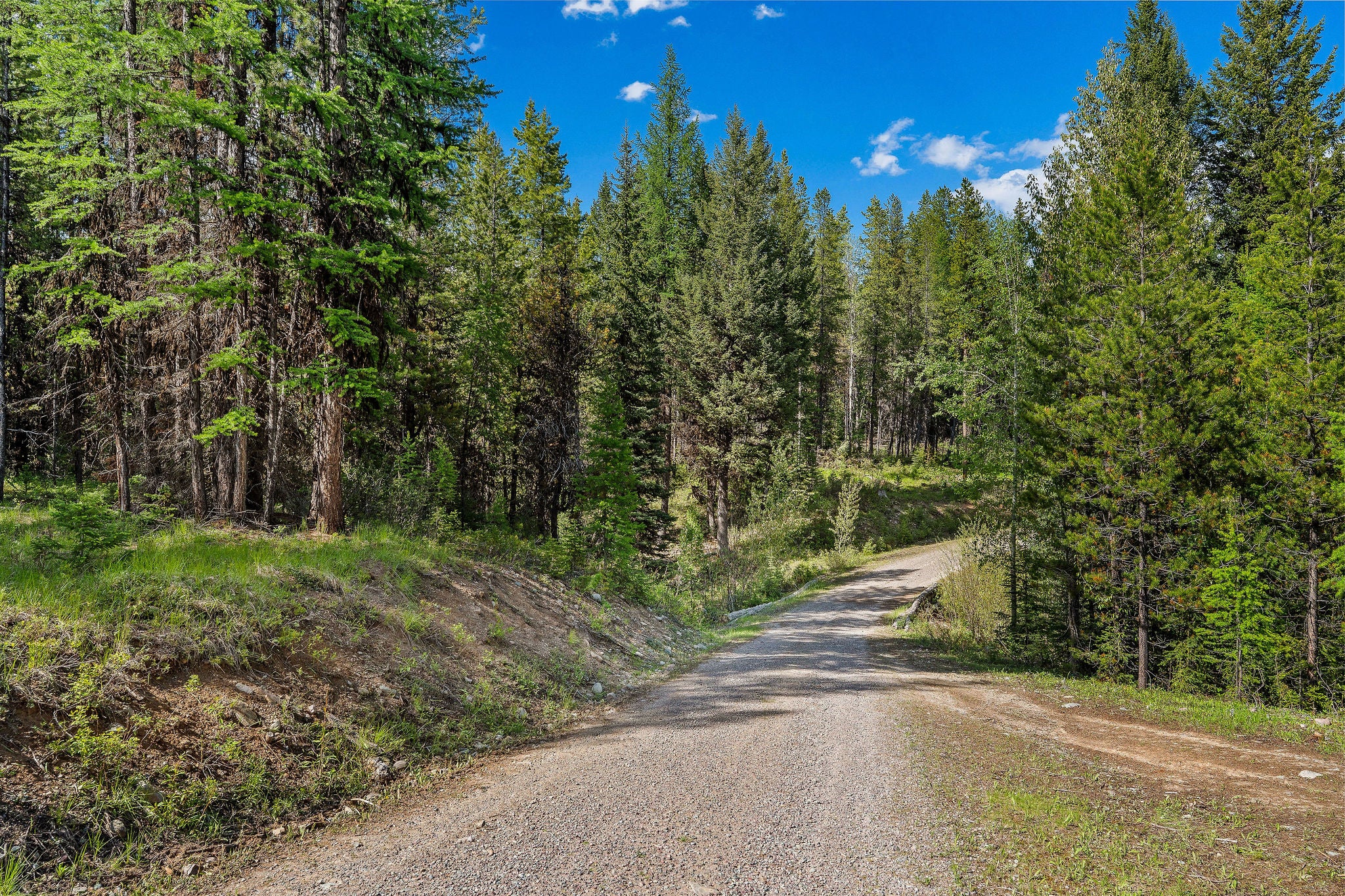 15645 North Fork Road Polebridge, MT 59928 - Photo 59 of 61 Gallery Image 59