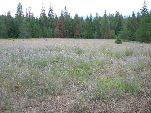 2612 Fertile Valley Road Newport, WA 99156 - Photo 15 of 15 Gallery Image 15