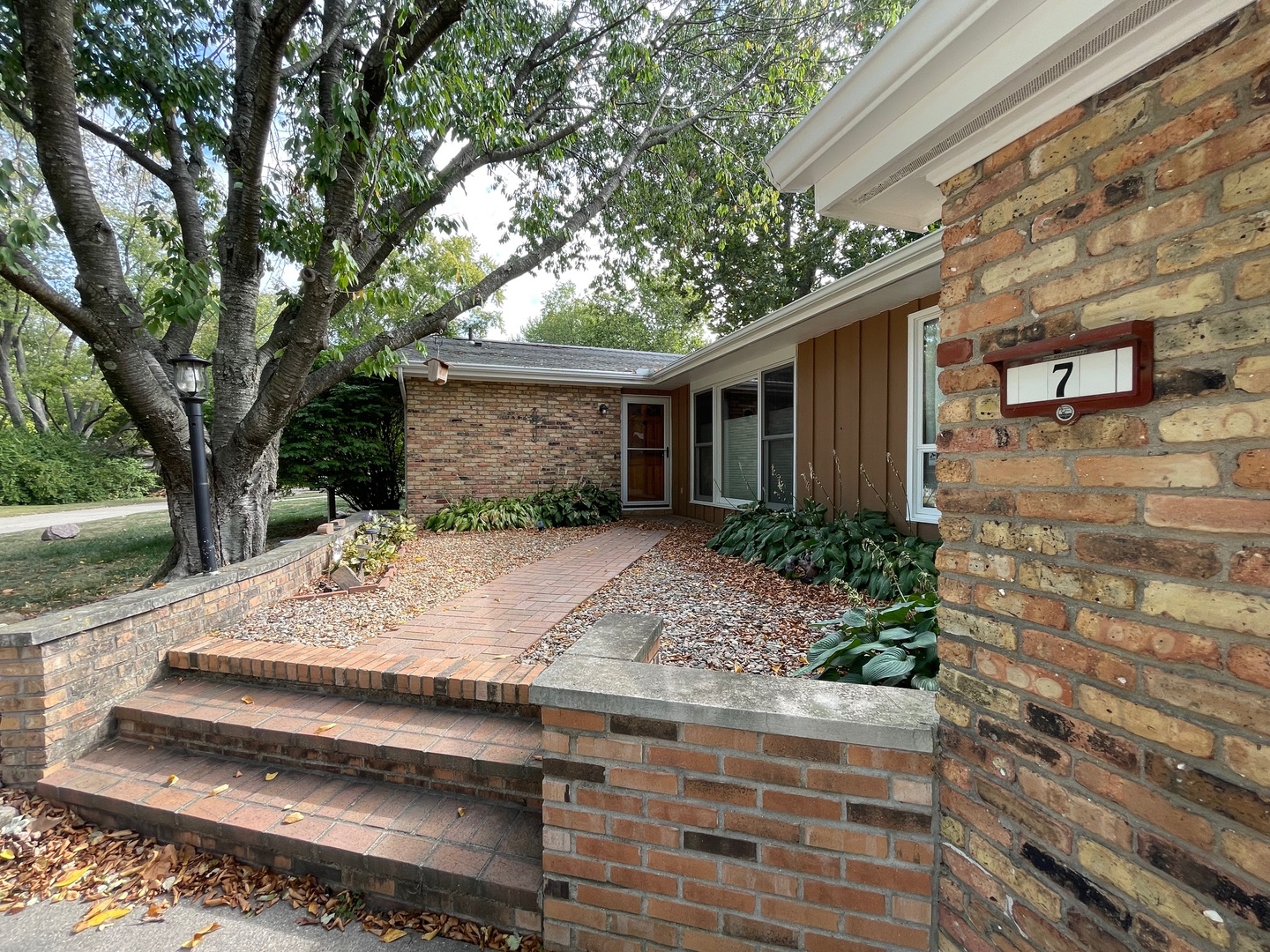 a view of a house with a yard and large tree