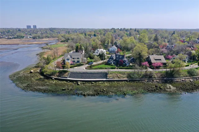a room with furniture and a potted plant