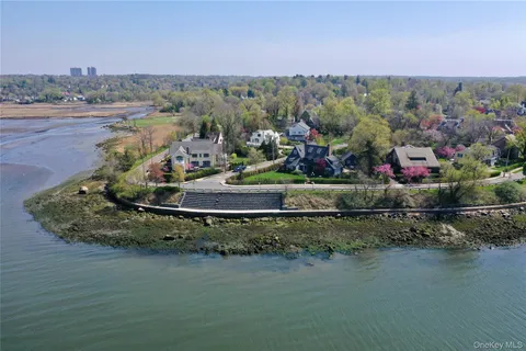 a room with furniture and a potted plant
