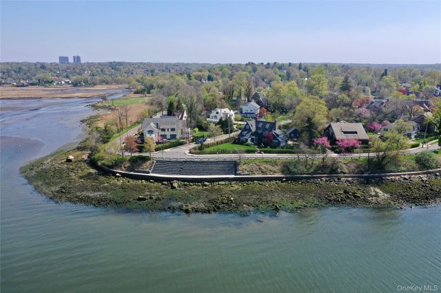 a room with furniture and a potted plant