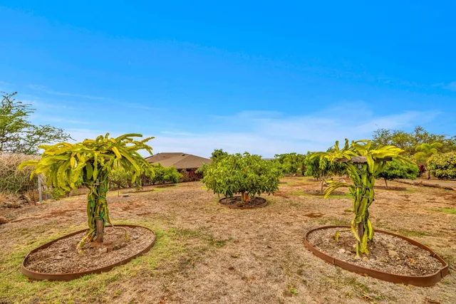 a view of an ocean and beach