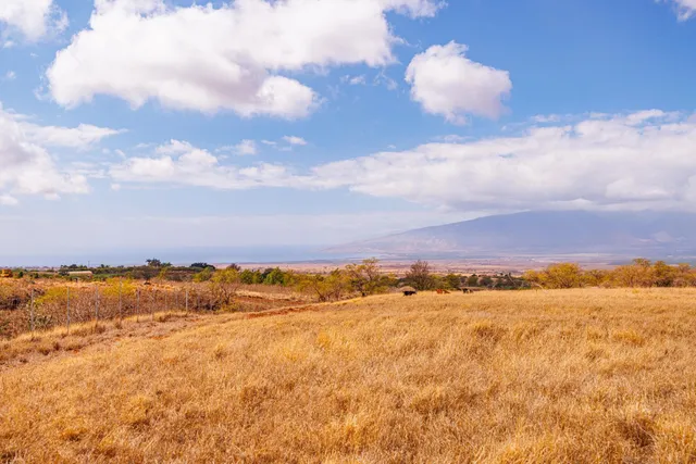 a close up of a vase with flowers