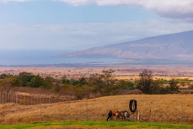 a view of a yard with an outdoor space