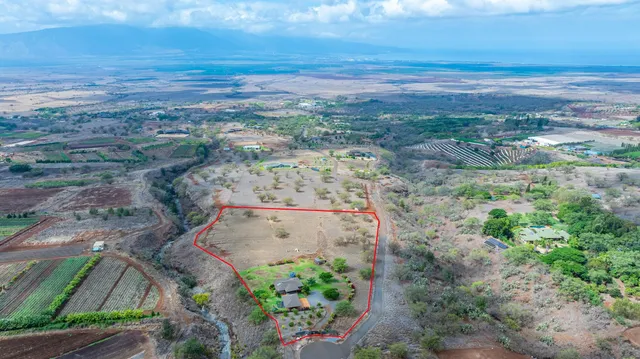 a view of a pathway with a yard