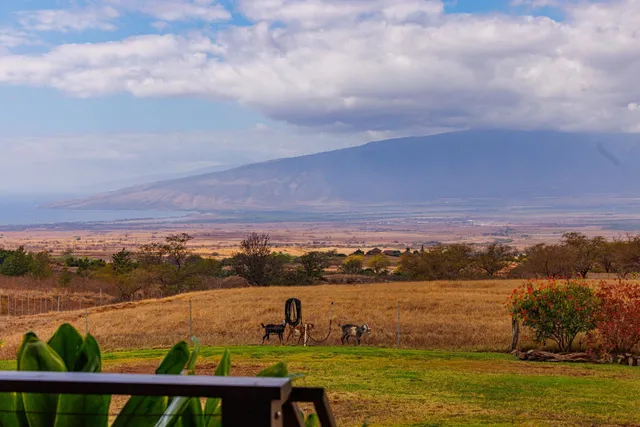 a view of sky from window