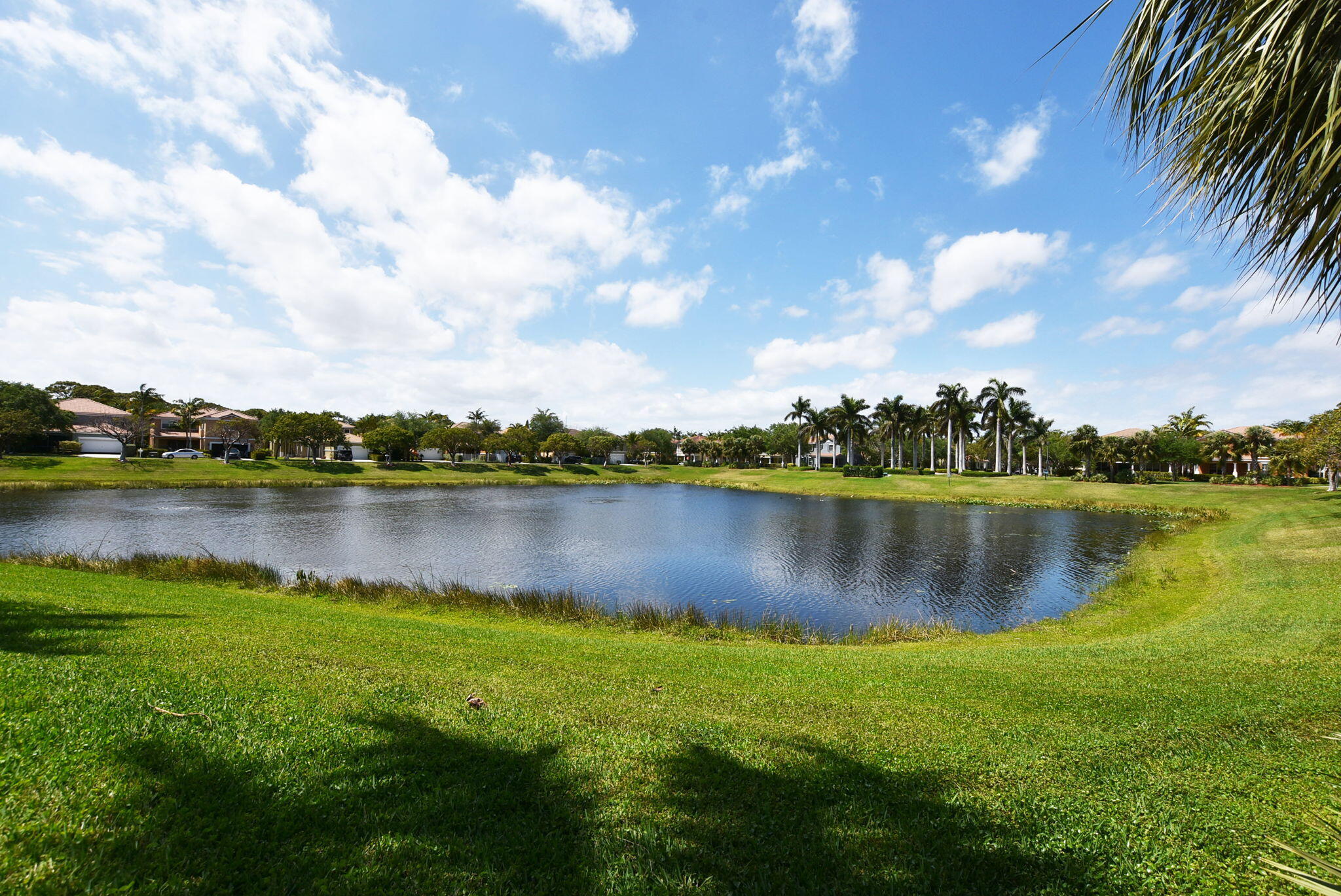 4582 Danson Way Delray Beach, FL 33445 - Photo 69 of 74 Community Lake