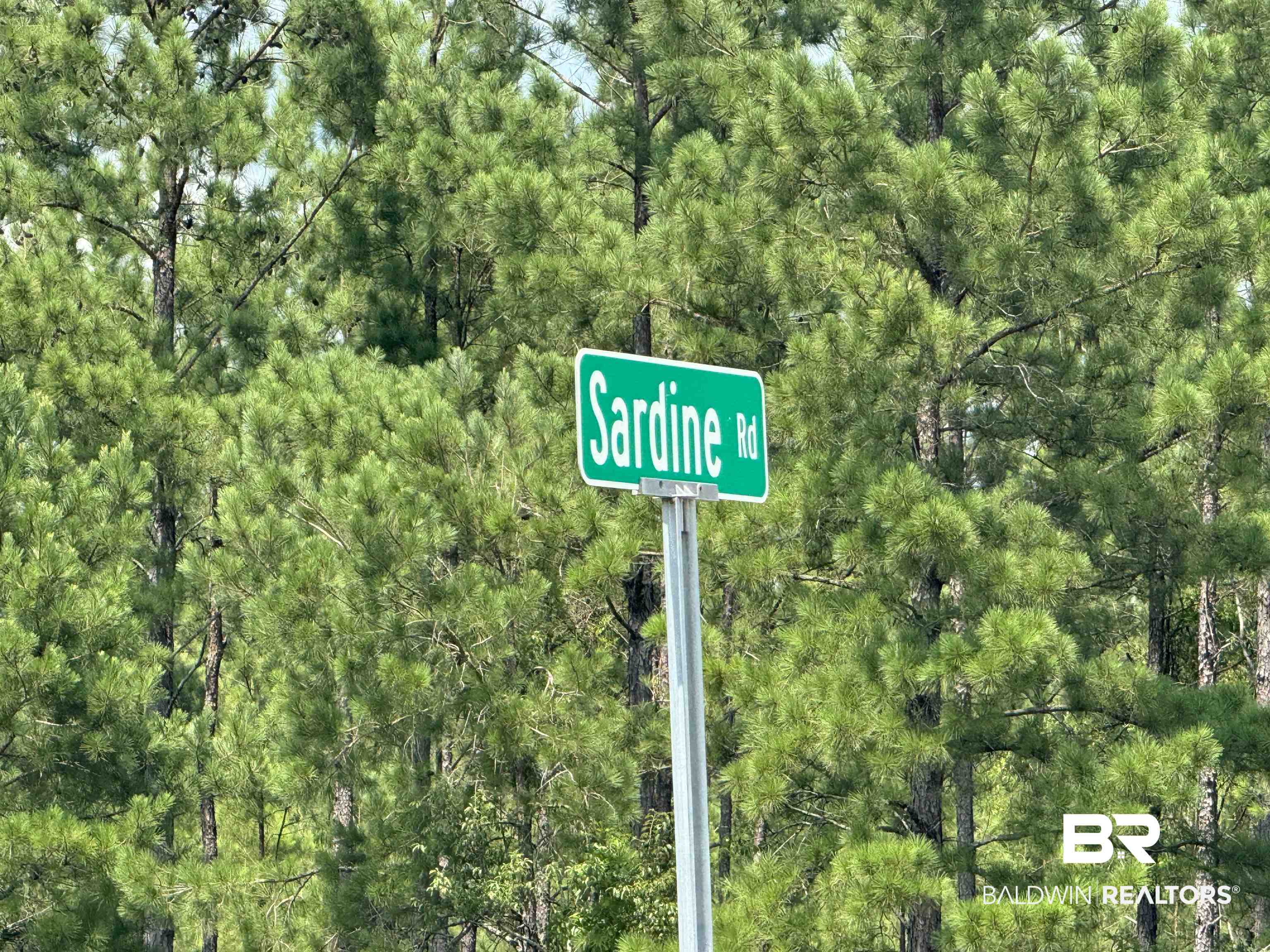 0 Highway 113 Flomaton, AL 36441 - Photo 9 of 24 View of intersecting street sign