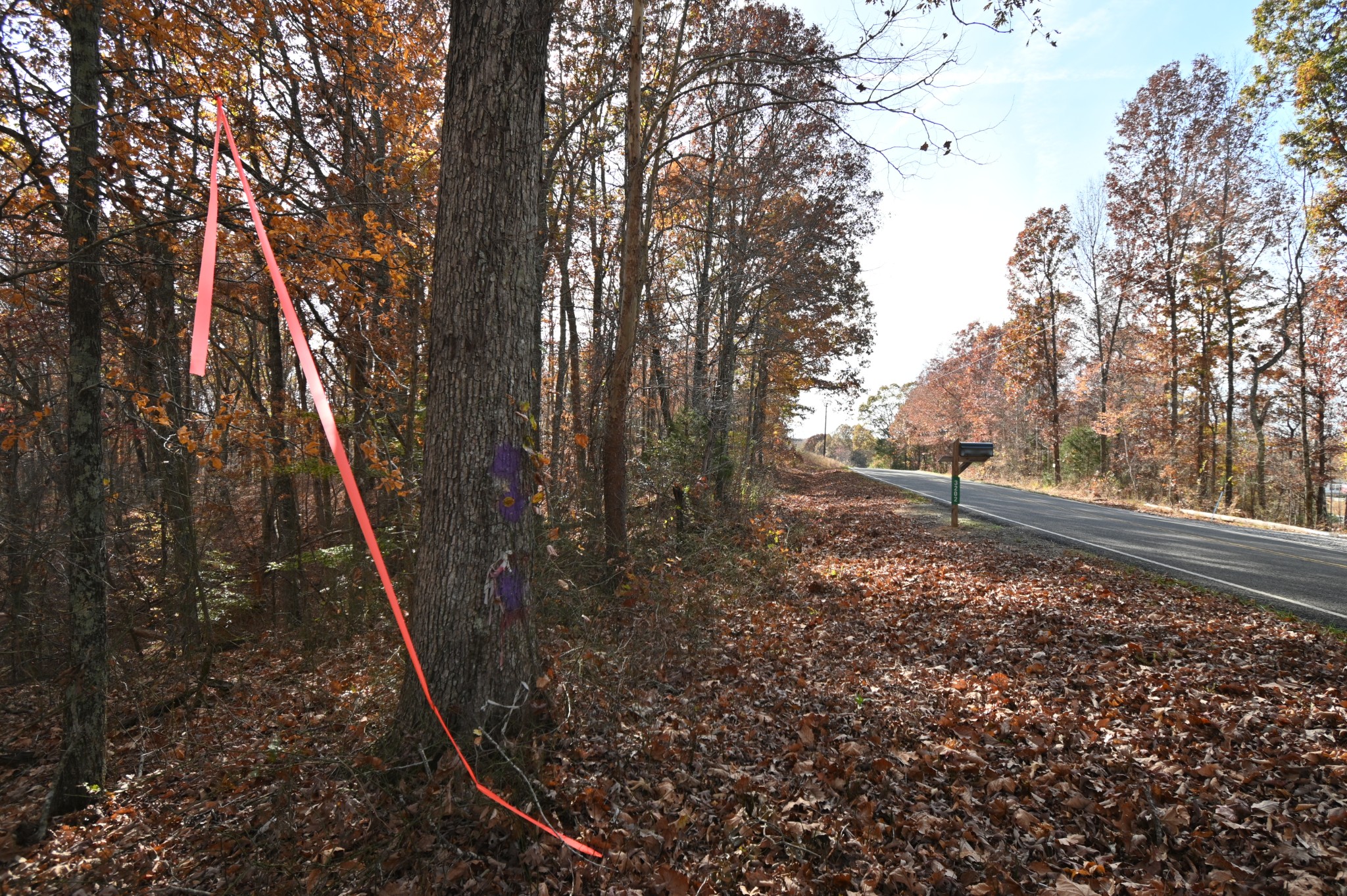 0 Airport Ridge Road Linden, TN 37096 - Photo 14 of 16 a view of an outdoor space with a lake view