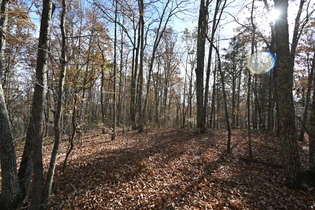 a view of outdoor space and trees