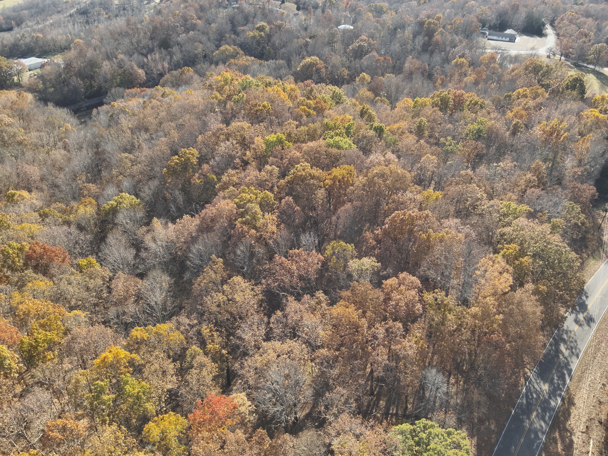 0 Airport Ridge Road Linden, TN 37096 - Photo 3 of 16 a view of a dry yard
