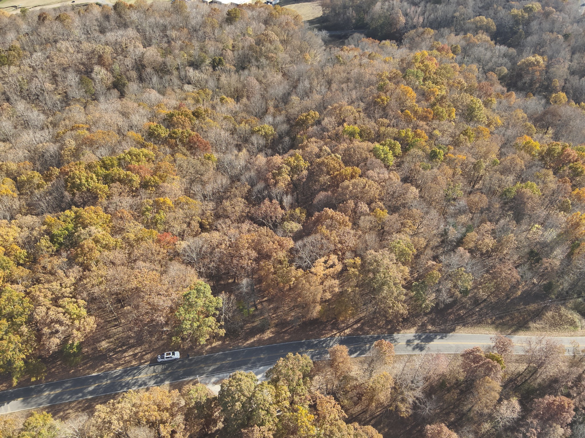 0 Airport Ridge Road Linden, TN 37096 - Photo 4 of 16 a view of a yard