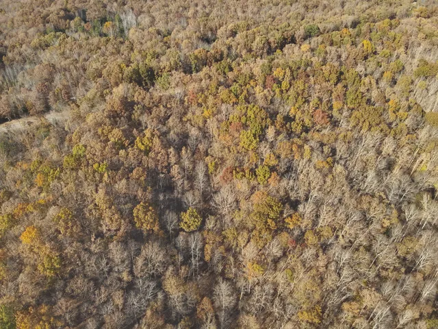 a close up of a wall