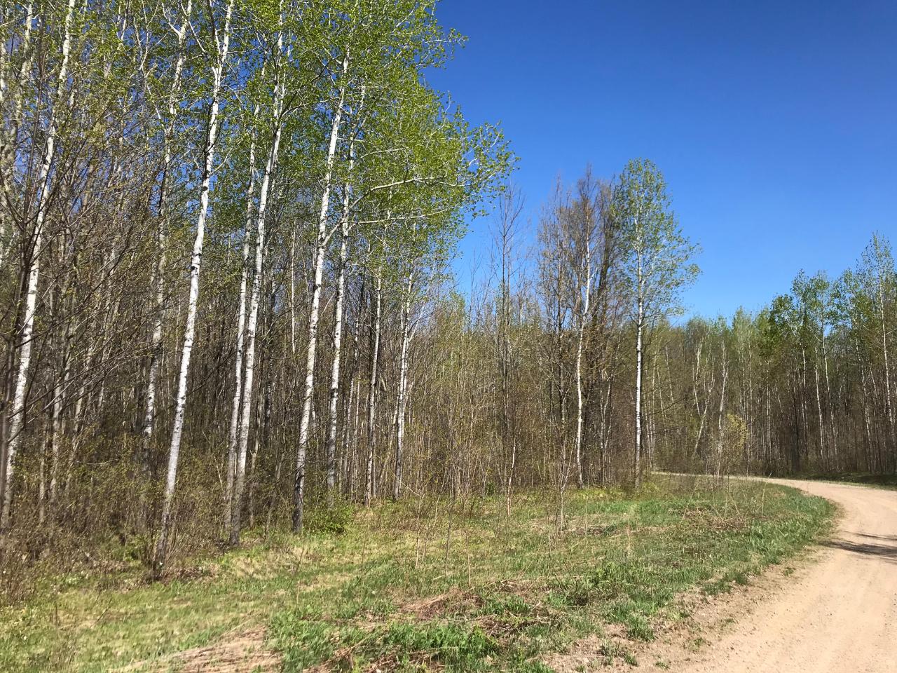 On Glacier Ridge Road, Unit 8 1 ACRES Crandon, WI 54520 - Photo 2 of 5 Gallery Image 2