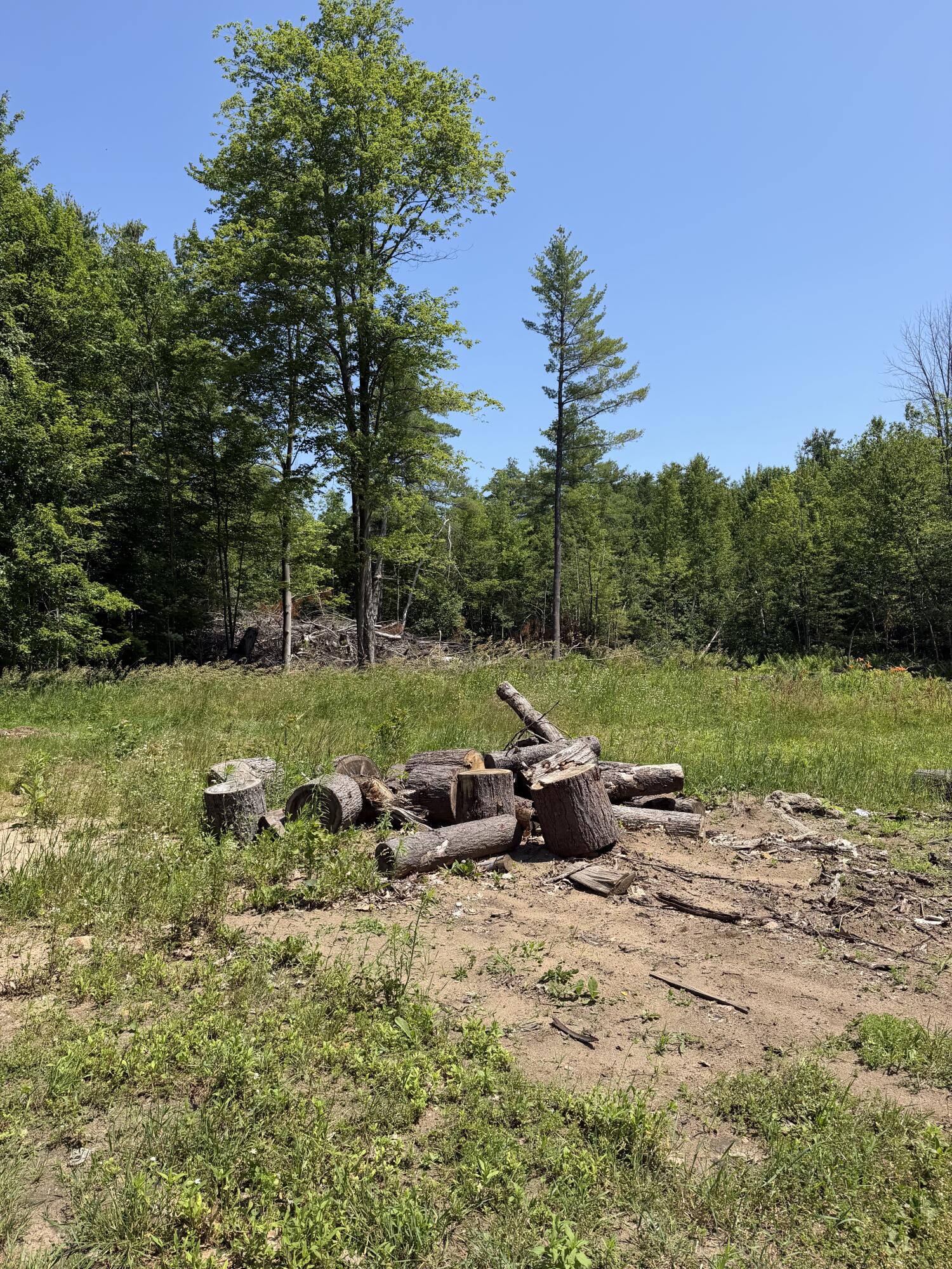 228 Staley Road Morrisonville, NY 12962 - Photo 7 of 8