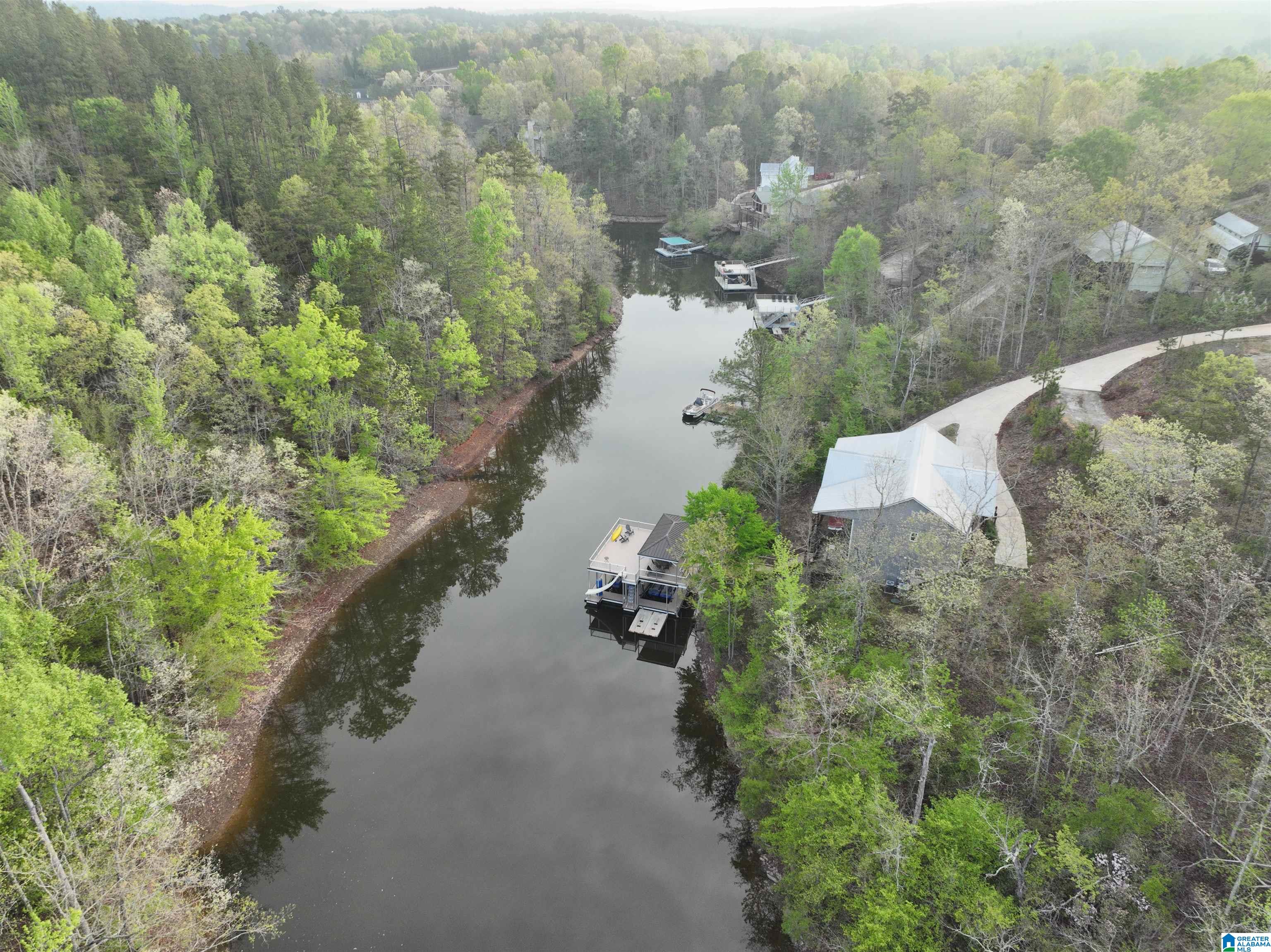 Lot 5 Dogwood Ridge, Unit LOT 5 Wedowee, AL 36278 - Photo 9 of 12