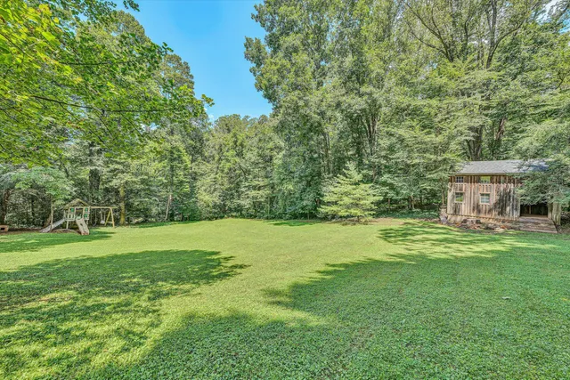 a view of a field with a tree