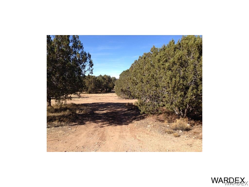 21684 East Rancho Viejo Road Kingman, AZ 86401 - Photo 9 of 12 Gallery Image 9