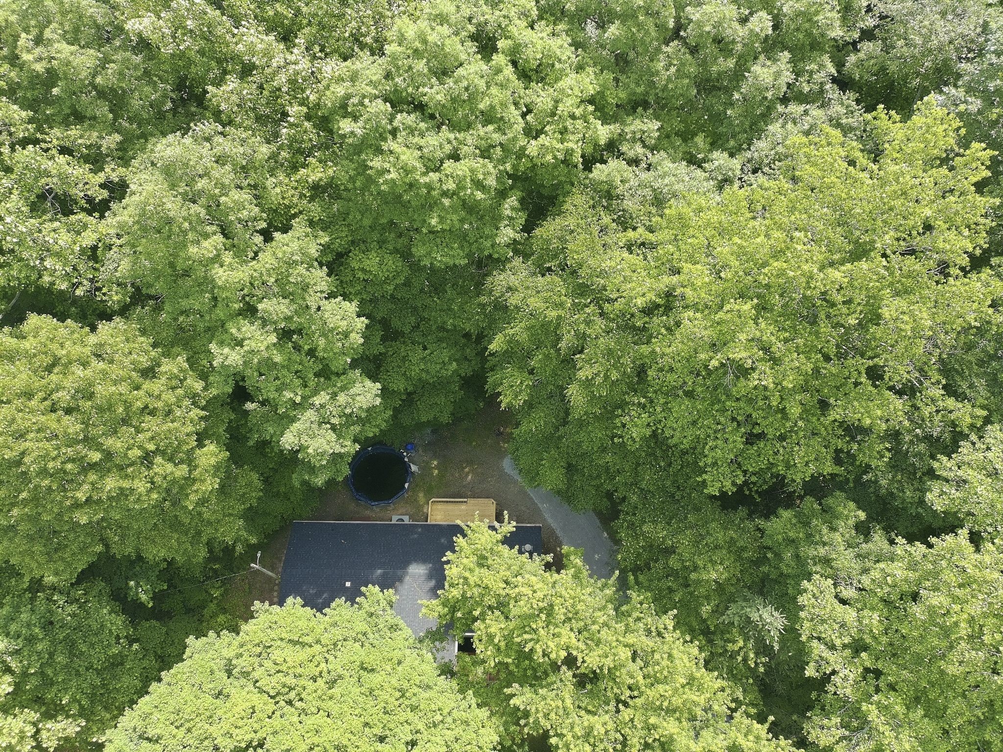 565 Clint Flowers Road McEwen, TN 37101 - Photo 44 of 51