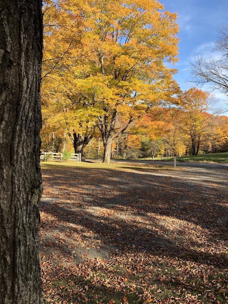 486 Benedict Road Woodstock, VT 05071 - Photo 7 of 40