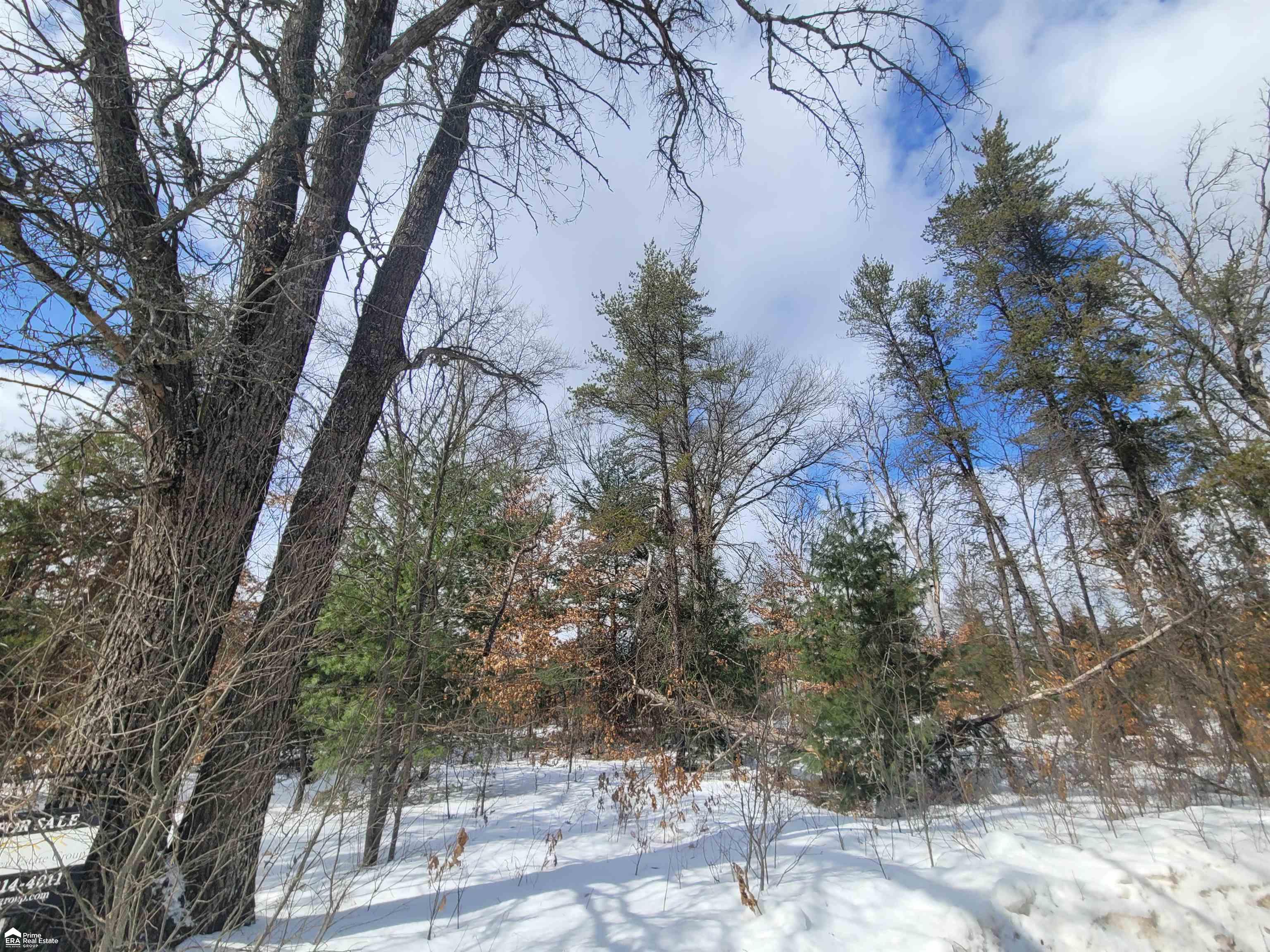 V/l Edith Schneider Road Harrison, MI 48625 - Photo 5 of 7