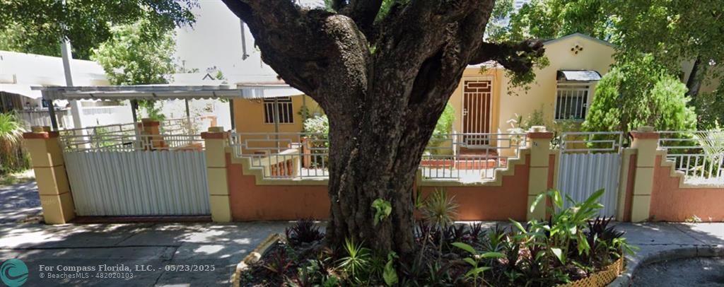 a view of a small garden