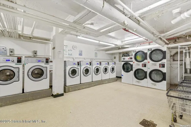 a view of a park with large tree