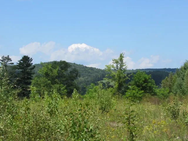 $1,499,000 | 458 Woodstock Road, Woodstock, VT 05091