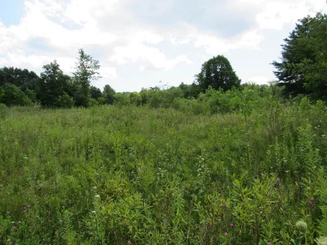 $1,499,000 | 458 Woodstock Road, Woodstock, VT 05091