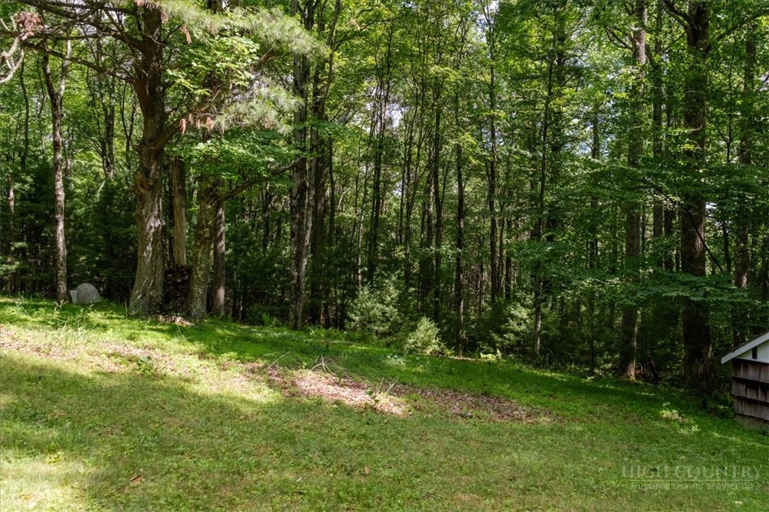 1218 Waterfall Road Sparta, NC 28675 - Photo 47 of 50