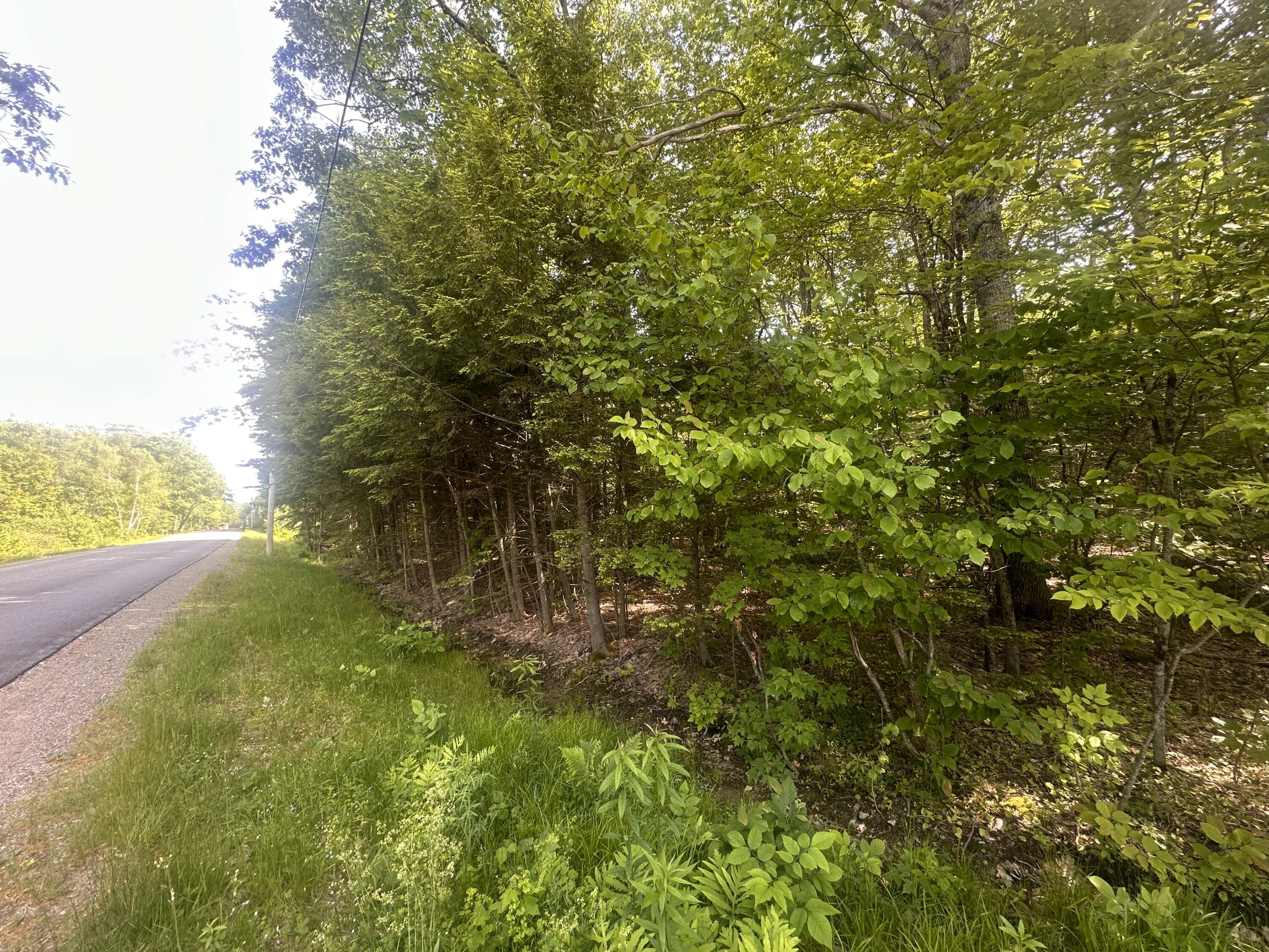 Lot #15 Greenacre Road Lincolnville, ME 04849 - Photo 11 of 23