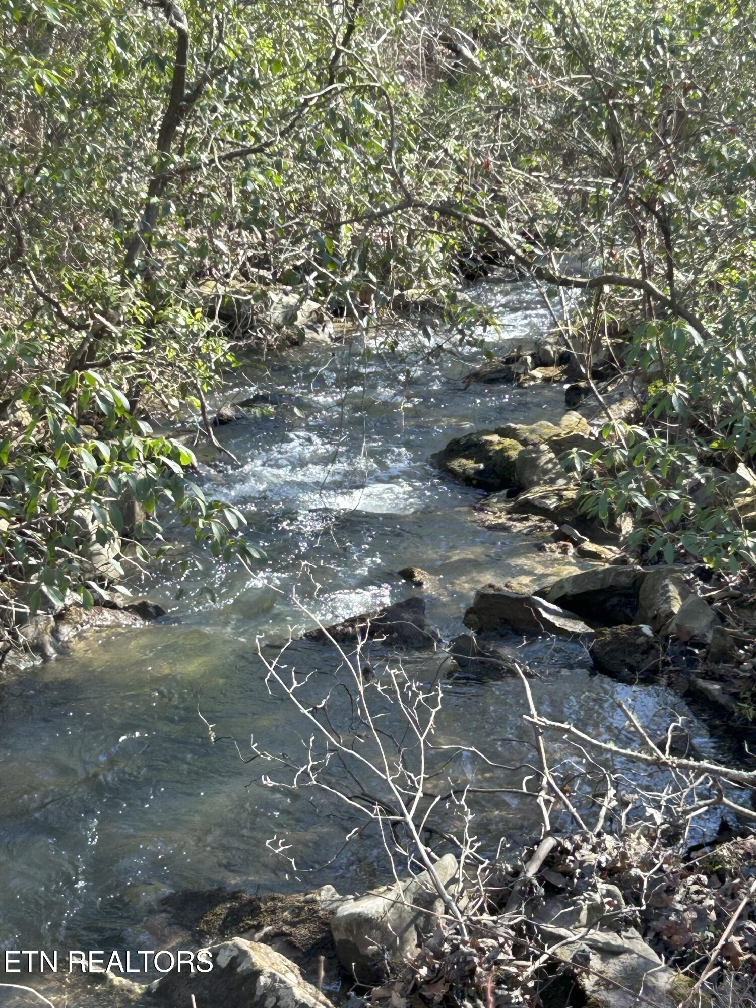 16501 Genesis Road Crossville, TN 38571 - Photo 59 of 60 creek