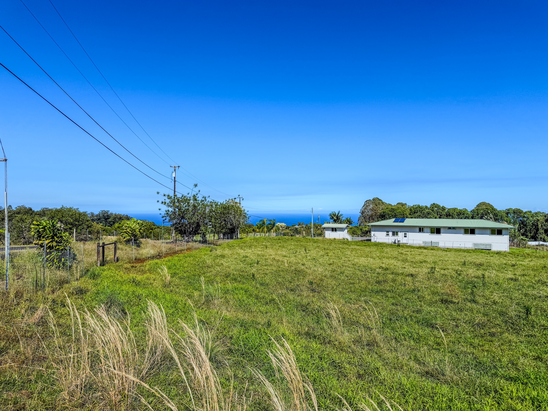 29-613 Lot Road Papaikou, HI 96781 - Photo 13 of 14 a view of a grassy area