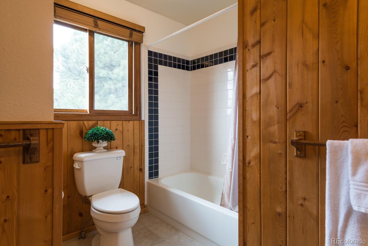 31277 Niakwa Road Evergreen, CO 80439 - Photo 19 of 34 Gallery Image 19