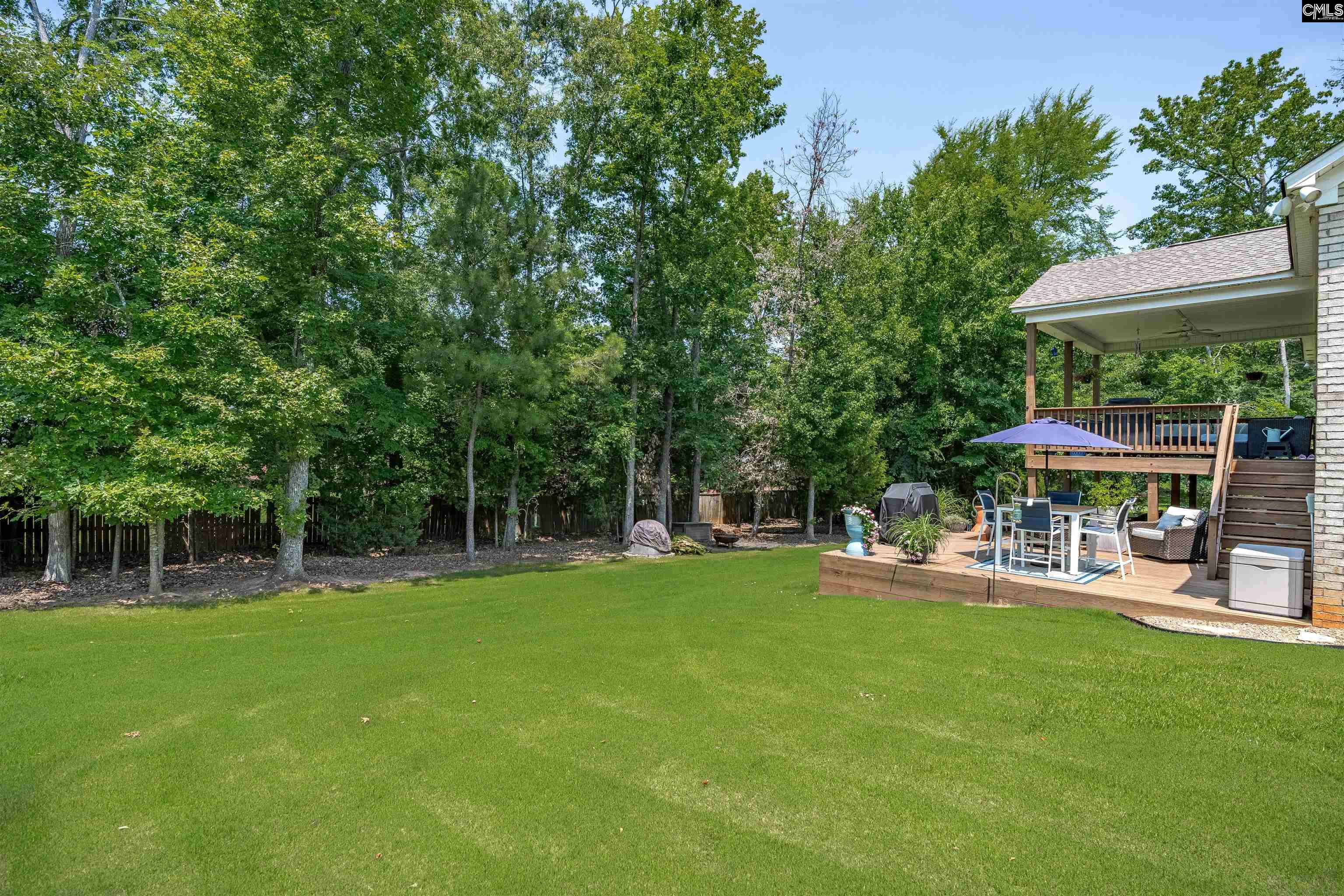 238 Hilton View Court Chapin, SC 29036 - Photo 43 of 63