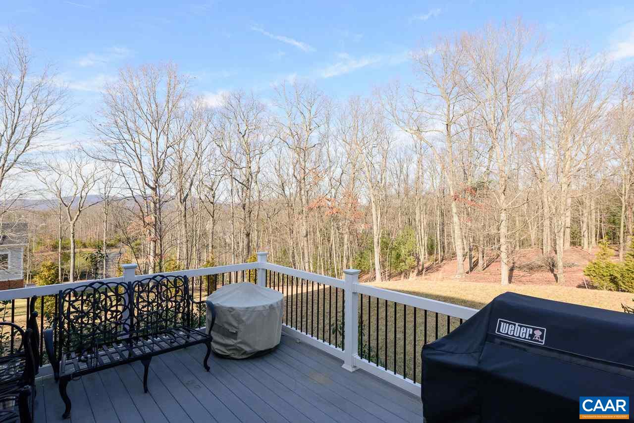 2131 Farringdon Road Keswick, VA 22947 - Photo 28 of 32 Gallery Image 28