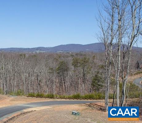 2131 Farringdon Road Keswick, VA 22947 - Photo 32 of 32 Gallery Image 32