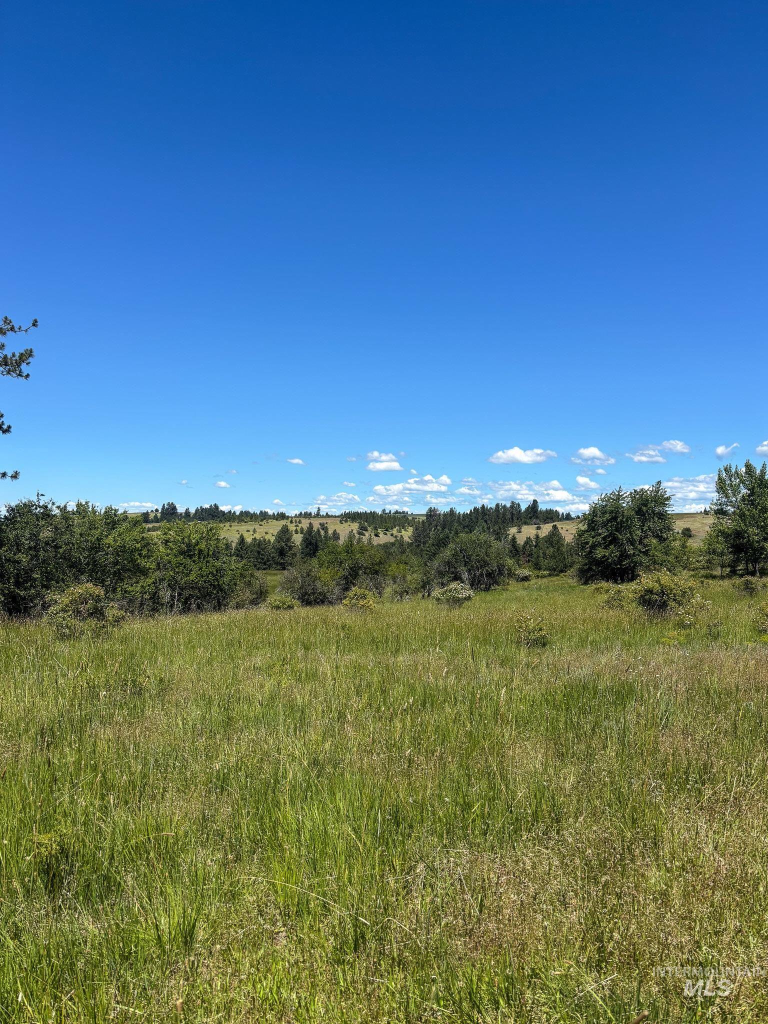 180 Williams Road Kooskia, ID 83539 - Photo 4 of 10