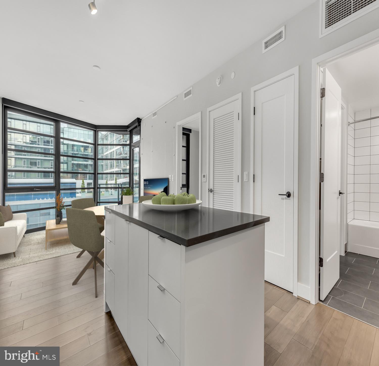 1300 4th Street Southeast, Unit 507 Washington, DC 20003 - Photo 6 of 32