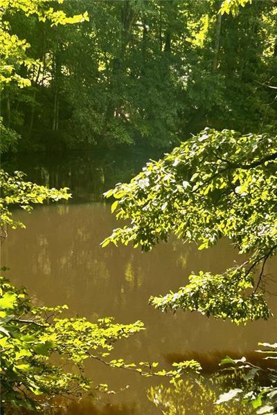 257 Ranchette Road Alpharetta, GA 30004 - Photo 17 of 17 a view of lake