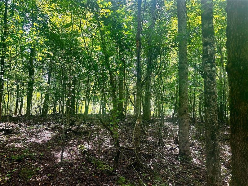 257 Ranchette Road Alpharetta, GA 30004 - Photo 5 of 17 a view of outdoor space and green space