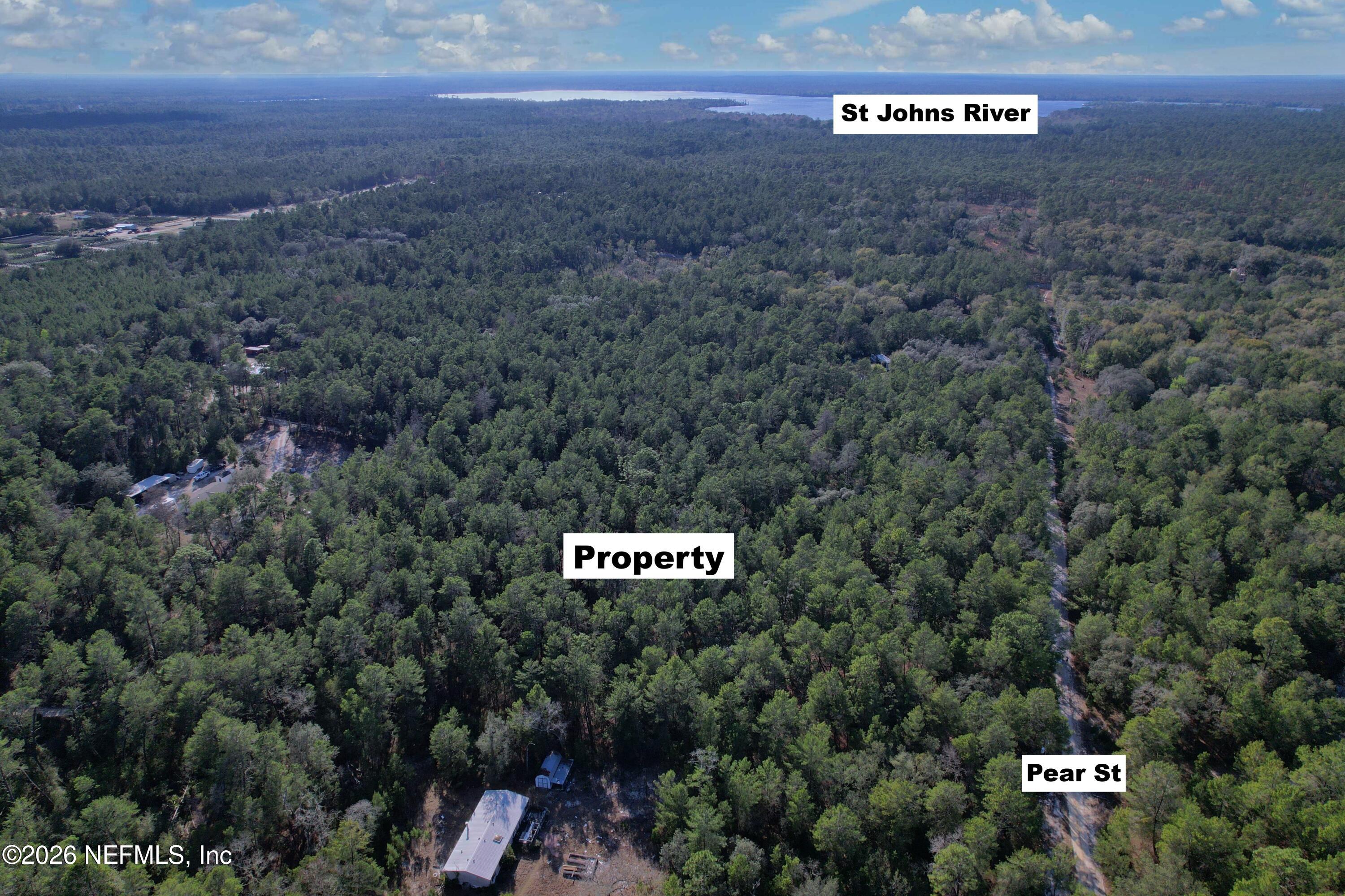 127 Pear Street Crescent City, FL 32112 - Photo 3 of 11 a view of a street with lots of trees